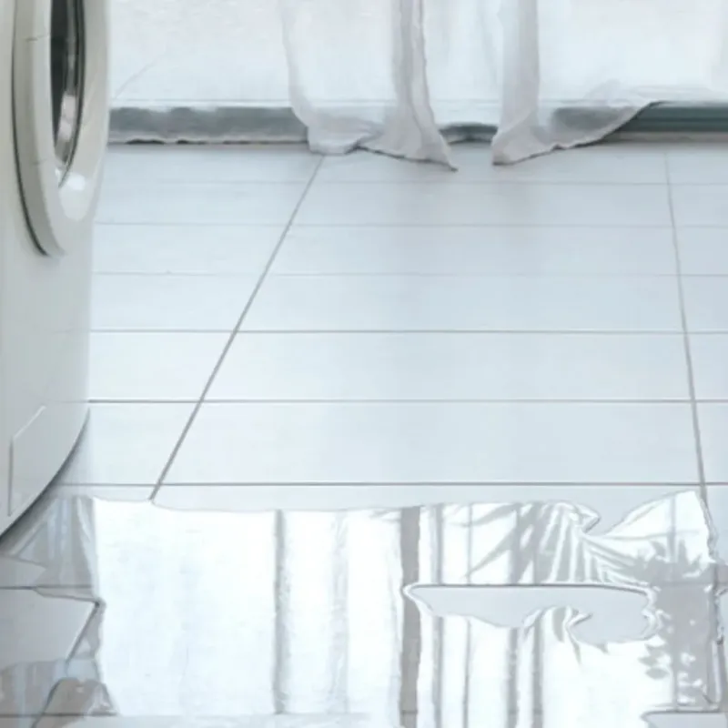 Appliance Leak Cleanup in Canterwood, WA