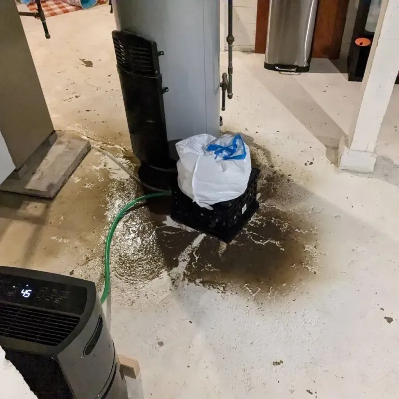 Sewage Backup Cleanup Service in Canterwood, WA